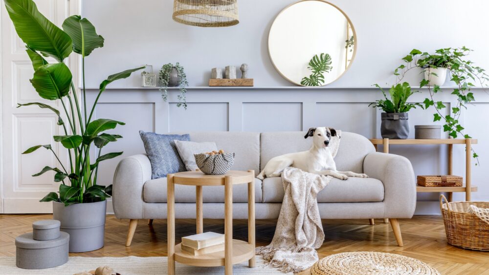 Descubre los errores de diseño de interiores más comunes y cómo solucionarlos. Interior design of living room