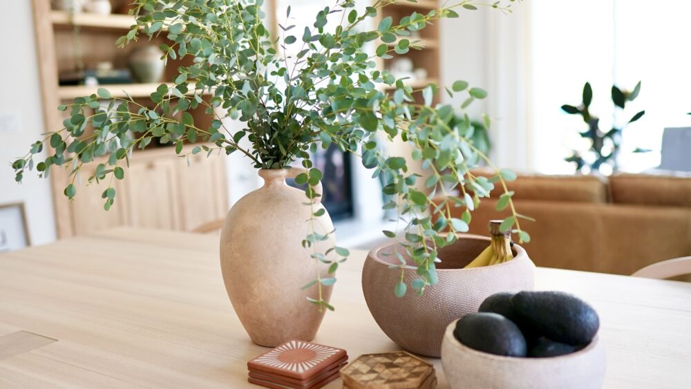 Ideas Creativas para Decorar con Plantas de Interior