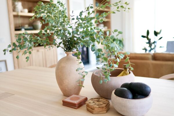 Ideas Creativas para Decorar con Plantas de Interior
